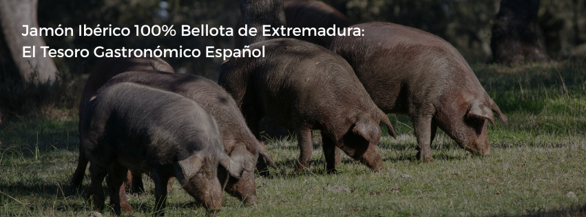 Jamón Ibérico 100% Bellota de Extremadura