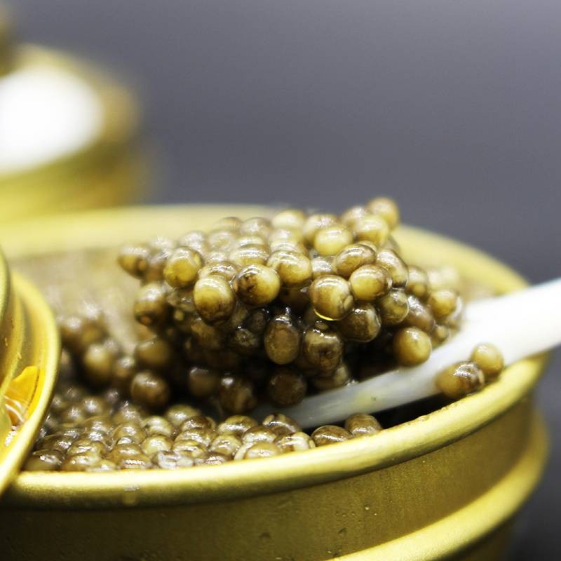 Caviar Oscietra
