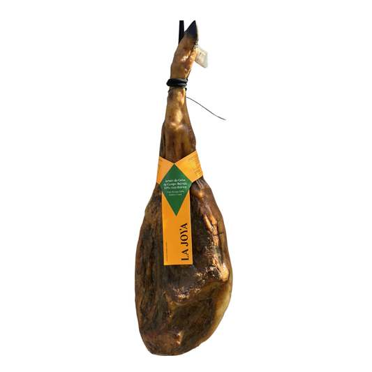 jamon cebo de campo